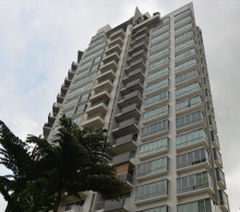 Scenic Heights (D12), Apartment #944362